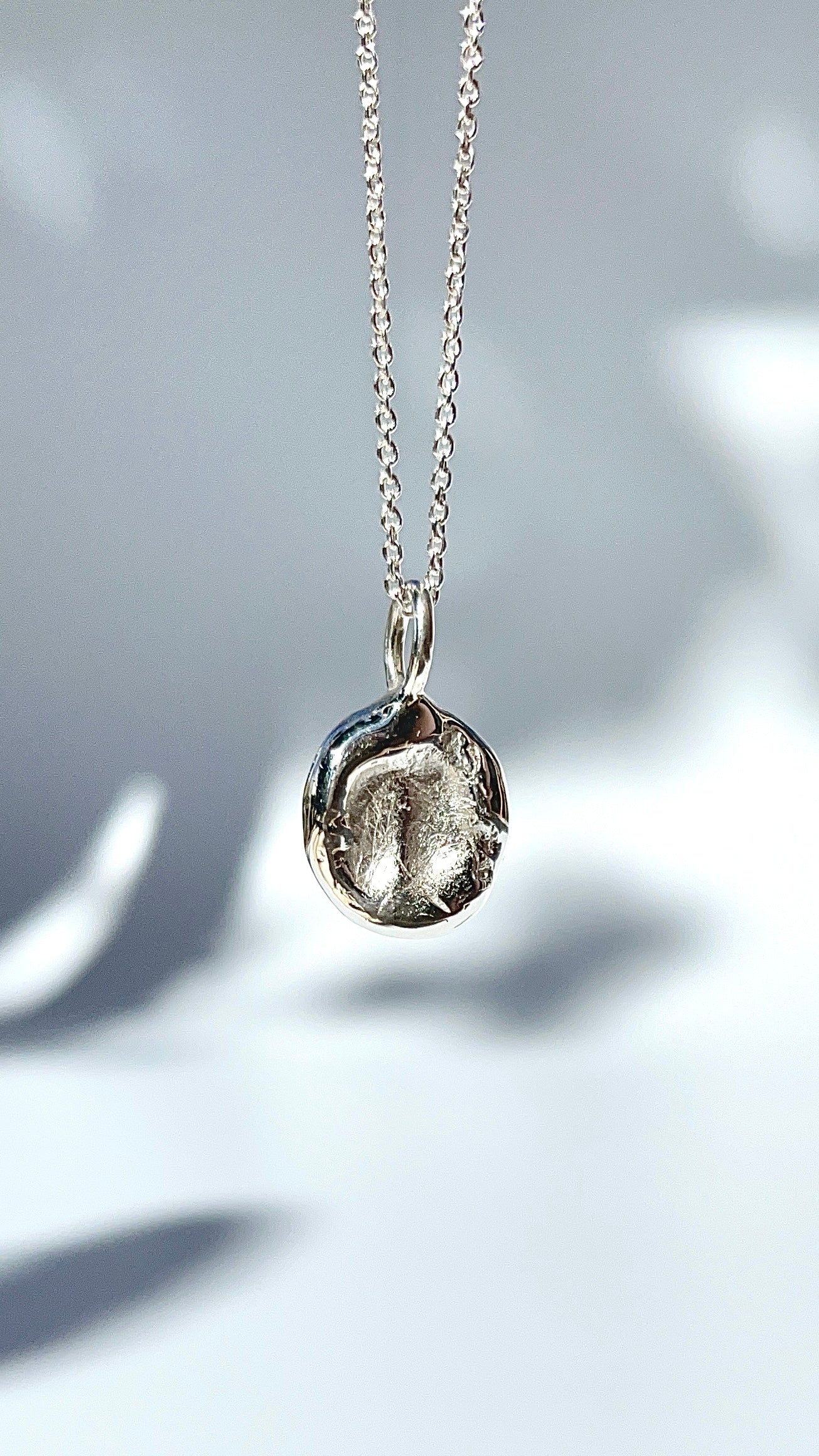 Pet Print Pendant - Sterling Silver or 9ct Gold - Fingerprint Impression Kit + Necklace