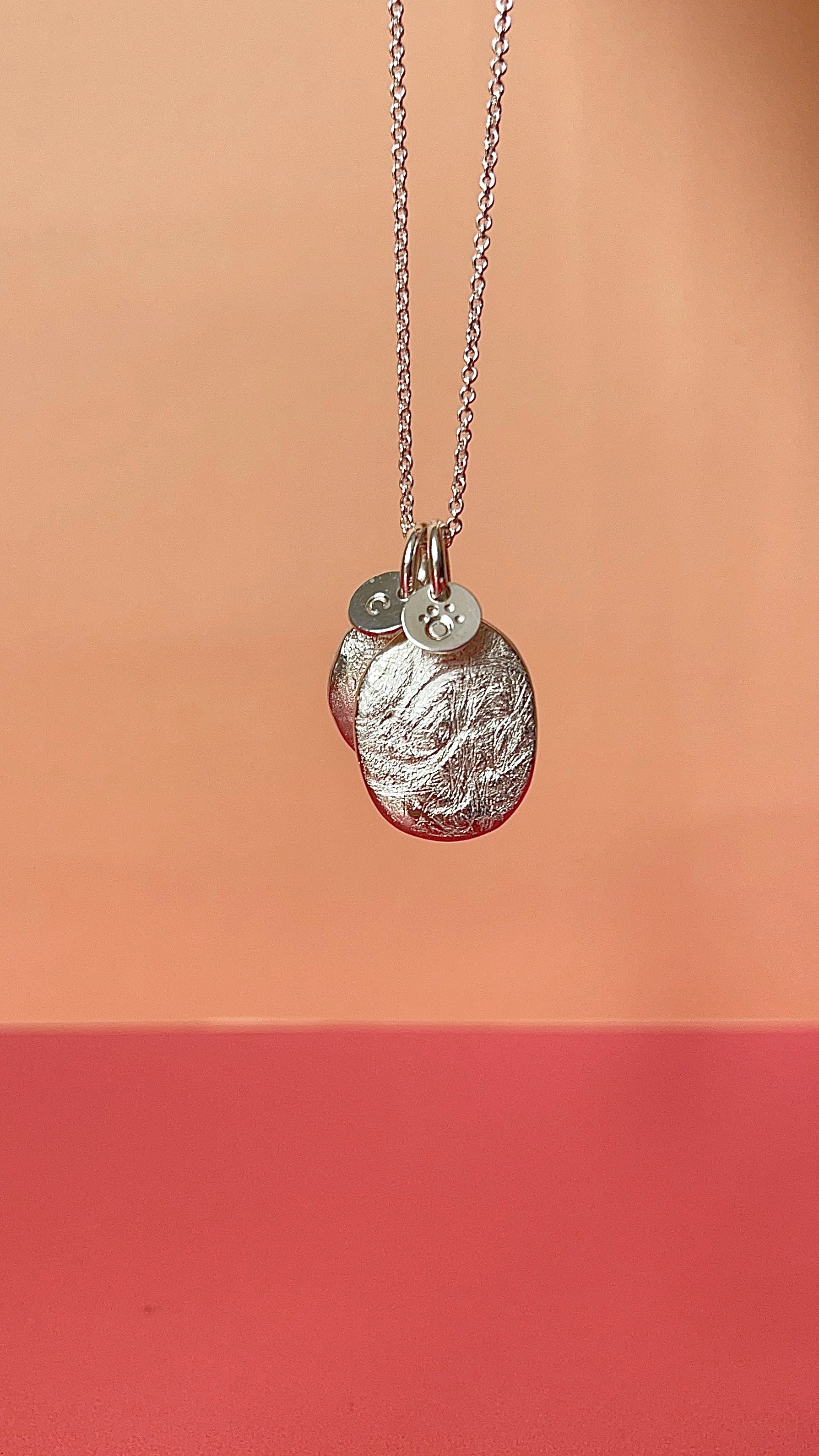 Pet Print Pendant - Sterling Silver or 9ct Gold - Fingerprint Impression Kit + Necklace