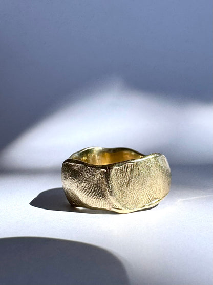 Band Fingerprint Ring - Sterling Silver or 9ct Gold - Print Impression Kit + Ring