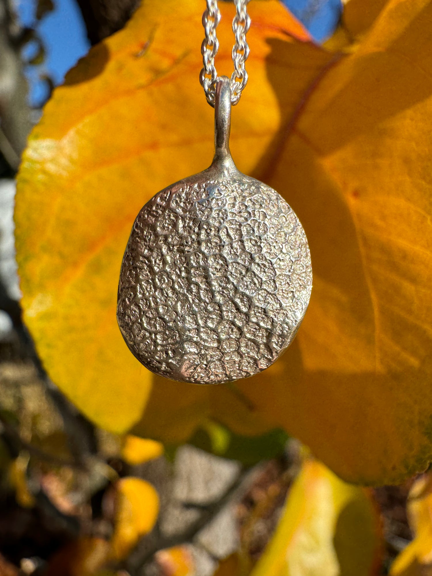 Pet Print Pendant - Sterling Silver or 9ct Gold - Fingerprint Impression Kit + Necklace