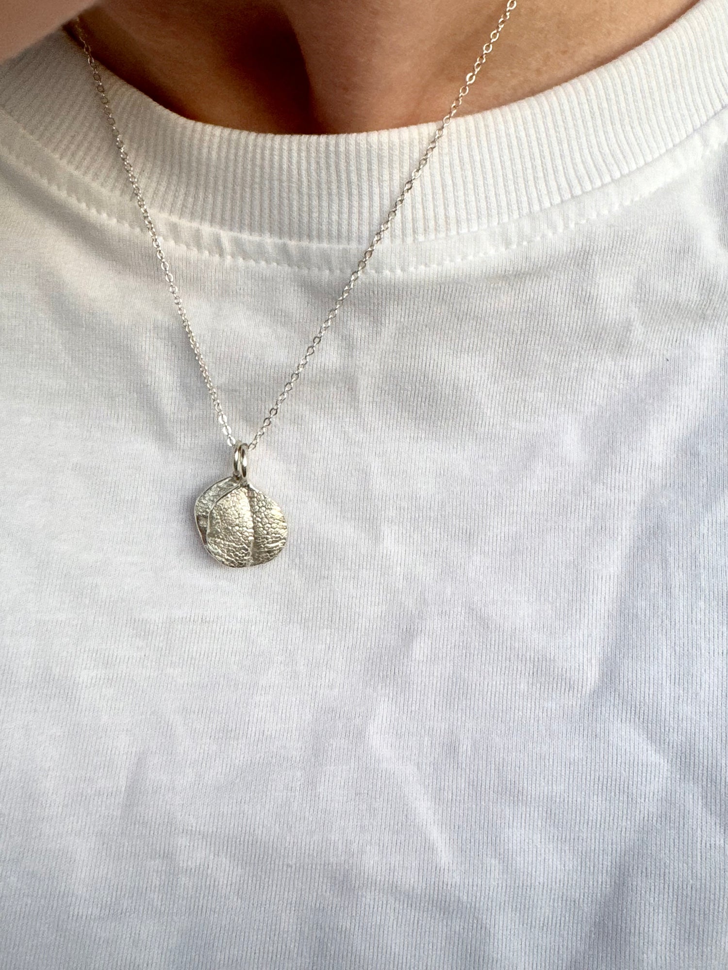 Pet Print Pendant - Sterling Silver or 9ct Gold - Fingerprint Impression Kit + Necklace