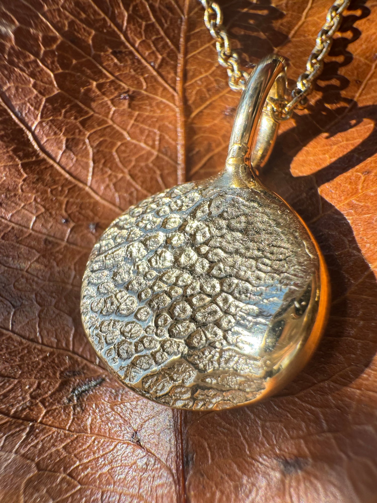 Pet Print Pendant - Sterling Silver or 9ct Gold - Fingerprint Impression Kit + Necklace