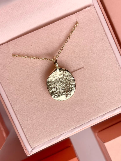 Pet Print Pendant - Sterling Silver or 9ct Gold - Fingerprint Impression Kit + Necklace